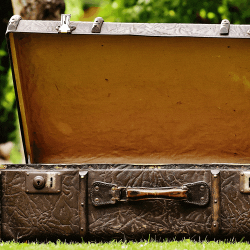 Gif - walizka, kot i kot w walizce